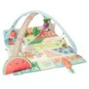 Skip Hop Farmstand Grow & Play Activity Gym