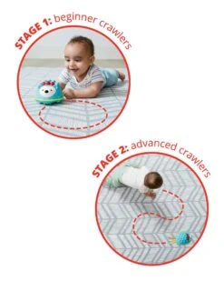 Skip Hop Explore & More Hello Hedgehog Crawl Toy 9 Skip Hop Explore & More Hello Hedgehog Crawl Toy -Skip Hop Store 9K433310 2