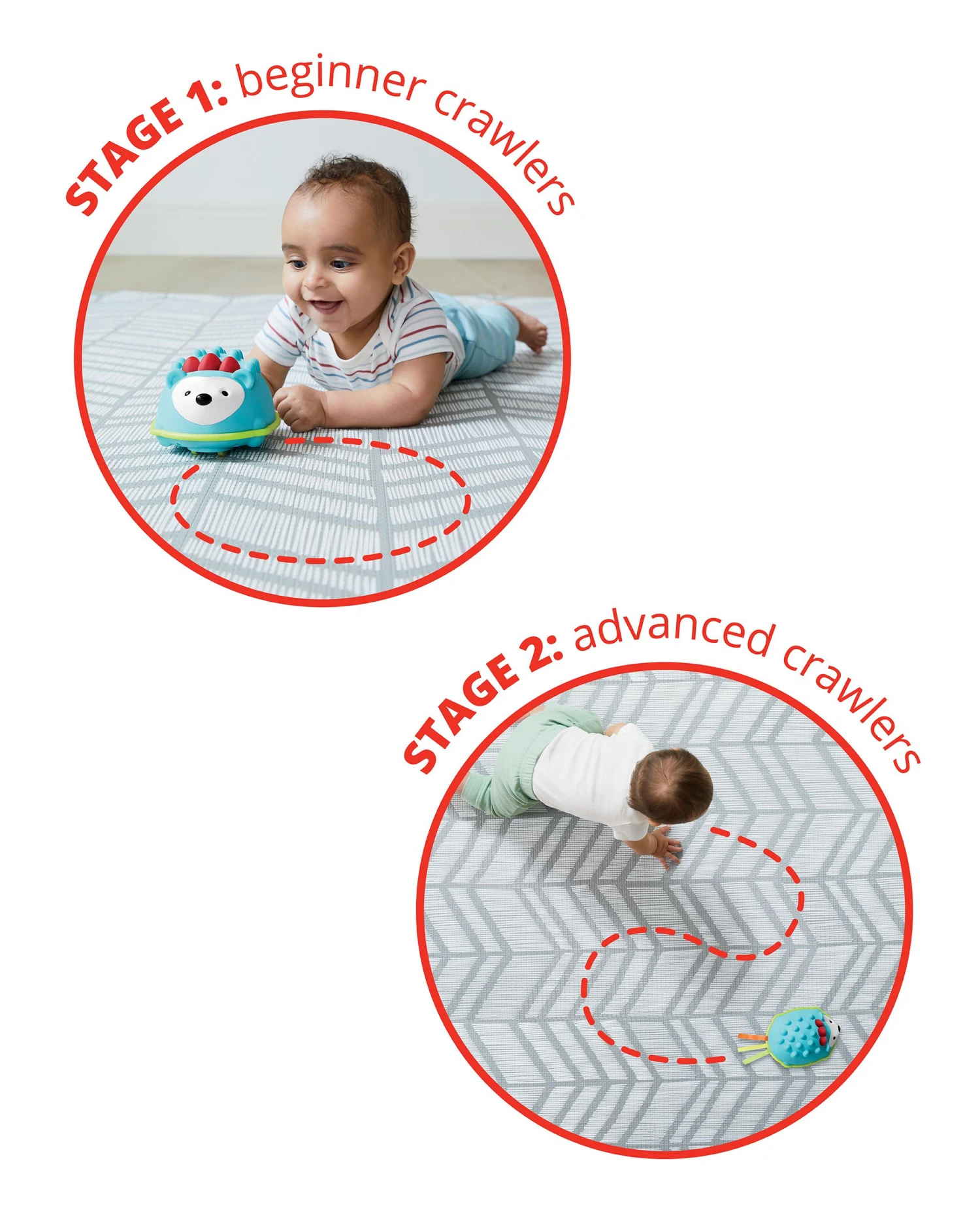 Skip Hop Explore & More Hello Hedgehog Crawl Toy 3 Skip Hop Explore & More Hello Hedgehog Crawl Toy - Image 3