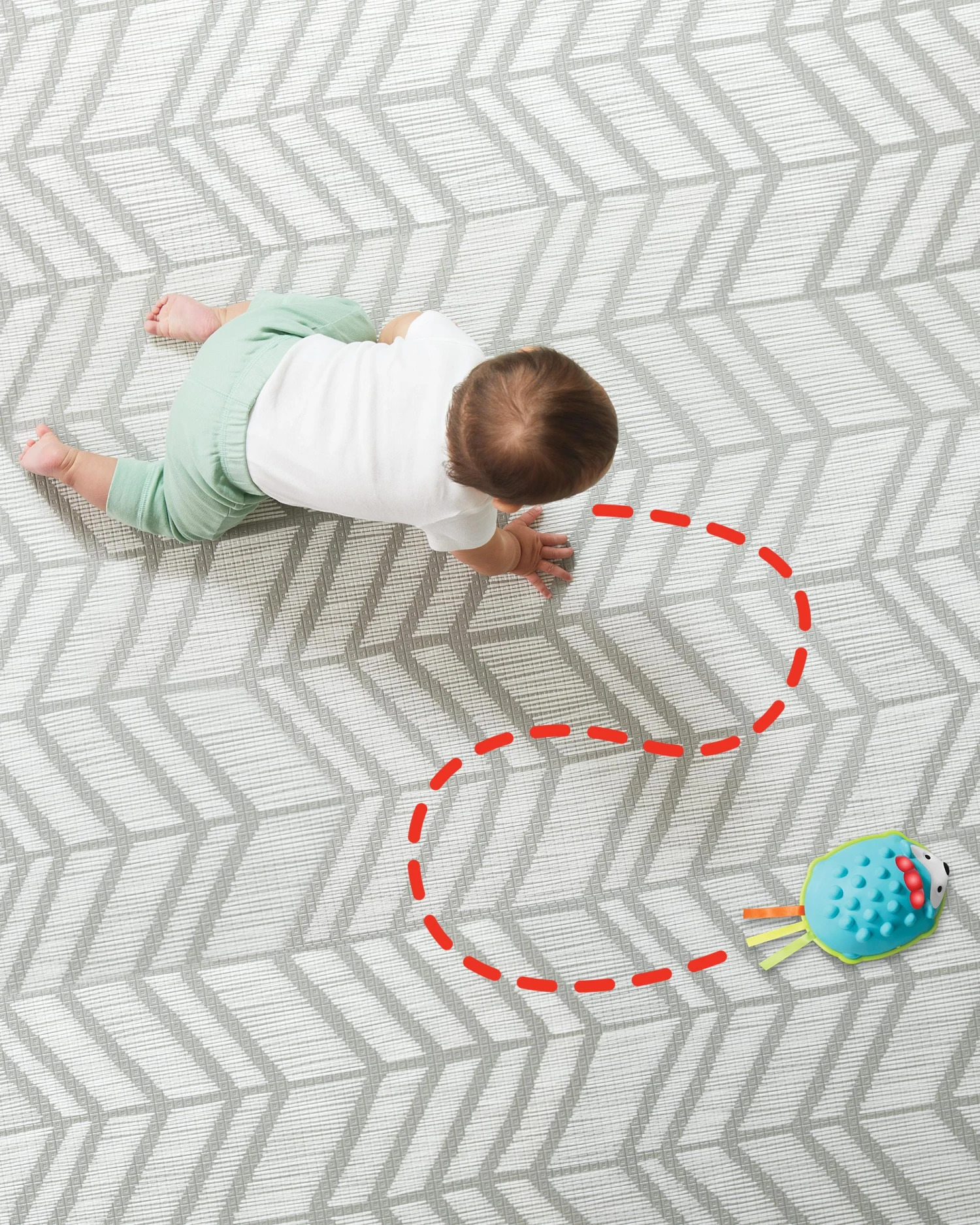 Skip Hop Explore & More Hello Hedgehog Crawl Toy 6 Skip Hop Explore & More Hello Hedgehog Crawl Toy - Image 6