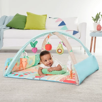 Skip Hop Farmstand Grow & Play Activity Gym 1 Skip Hop Farmstand Grow & Play Activity Gym